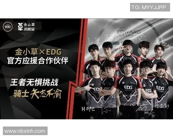 EDG职业联赛表现分析：团队协作与个人实力的完美结合