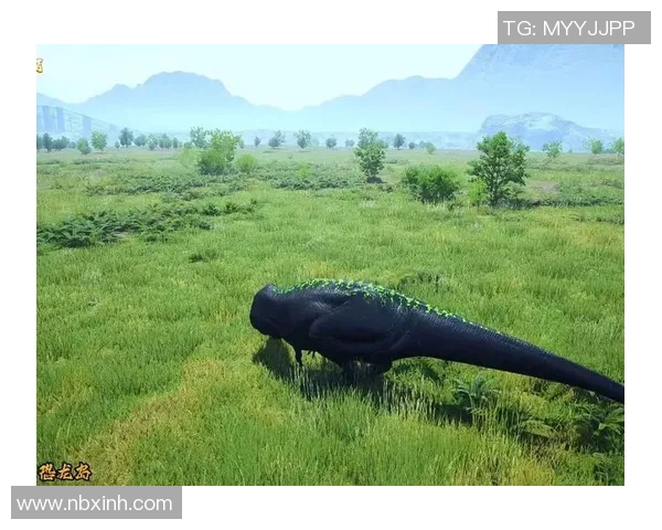 吴静的攀岩人生:从初心到巅峰的深度对话与探索之旅 吴静的攀岩人生:从初心到巅峰的深度对话与探索之旅