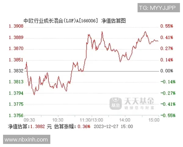 陈敏专访：从极限运动新手到行业先锋的成长之路回顾