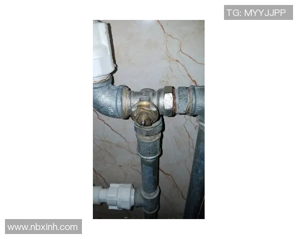 水管阀门的结构原理与应用技巧解析及维护保养要点