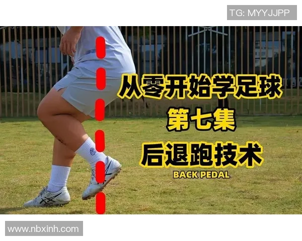 从零开始探索足球明星的魅力与成就之旅